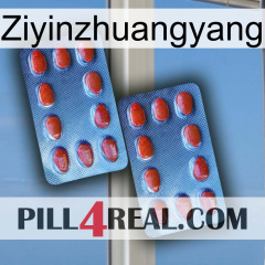 Ziyinzhuangyang 05